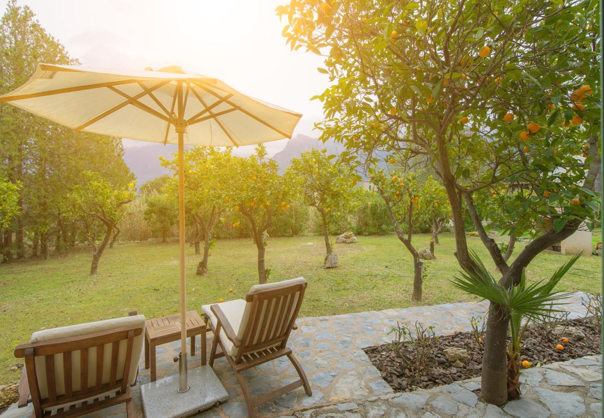 Finca Can Coll Boutique Country House - Adults Only Sóller Exterior foto